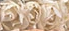 Paper Flower Crown (12 colors) - Lolita Collective