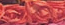 Paper Flower Crown (12 colors) - Lolita Collective