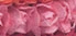 Paper Flower Crown (12 colors) - Lolita Collective