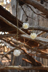 Dried Flower Petal Globe Necklace- 3 styles - Lolita Collective